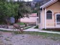 Ouray, CO
