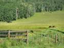 Hwy. 550 to Durango, CO