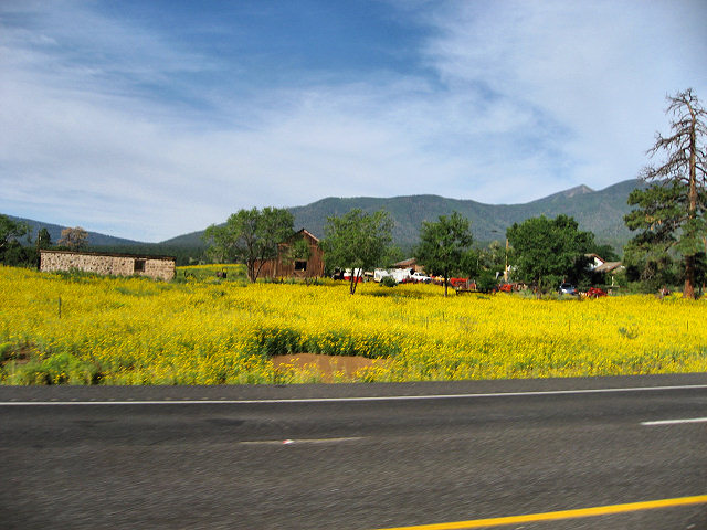 Hwy. 89