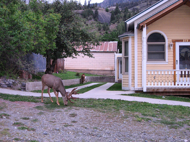 Ouray, CO