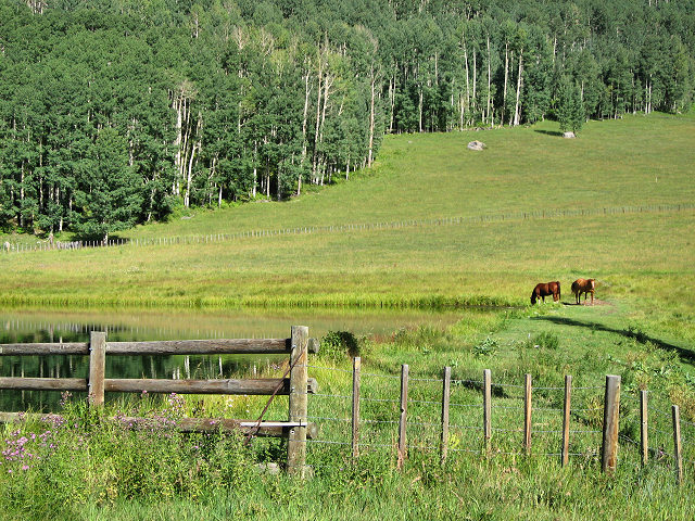 Hwy. 550 to Durango, CO