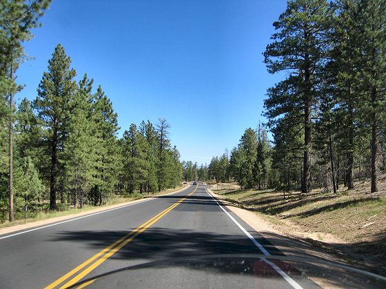 Main Road in Bryce Canyon