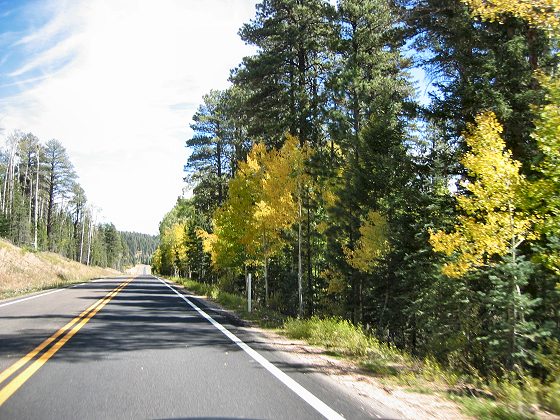 Road To North Rim Grand Canyon