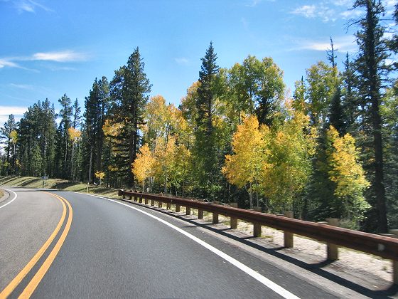 Road To North Rim Grand Canyon