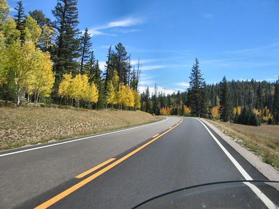 Road To North Rim Grand Canyon