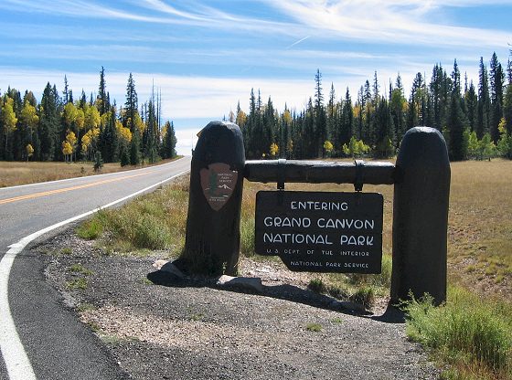 Road To North Rim Grand Canyon