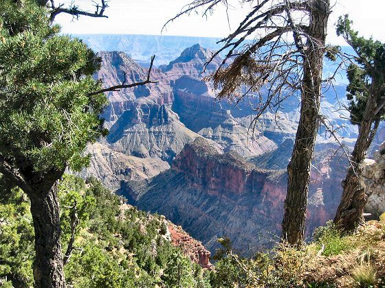 North Rim Grand Canyon