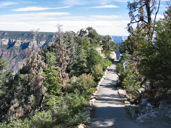 North Rim Grand Canyon