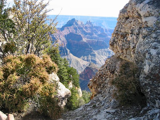 North Rim Grand Canyon