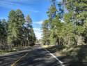 Through the Kaibab Forest to Jacob's Lake
