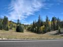 Road To North Rim Grand Canyon