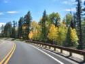Road To North Rim Grand Canyon