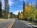 Road To North Rim Grand Canyon