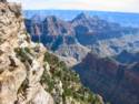 North Rim Grand Canyon