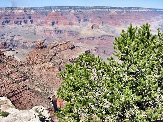 View From El Tovar Lodge South Rim