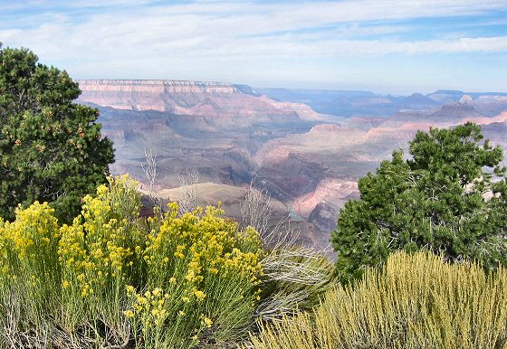 View From Lipan Point South Rim
