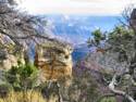 View From Moran Point South Rim