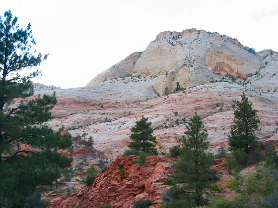 Zion National Park