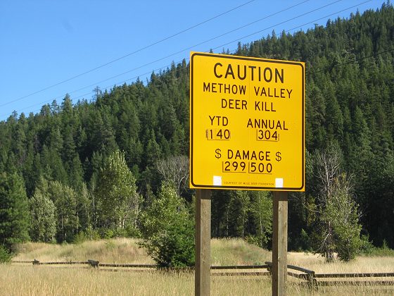 Methow Valley Deer Caution
