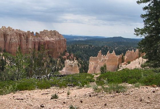 Scenes From Bryce Canyon National Park