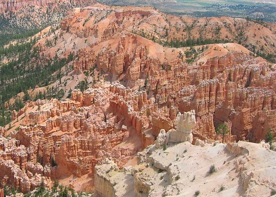 Scenes From Bryce Point in Bryce Canyon National Park