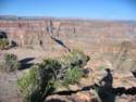 Grand Canyon West