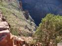 Guano Point at Grand Canyon West