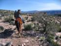 Horse Ride to Grand Canyon