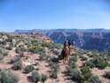 Horse Ride to Grand Canyon