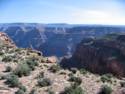 Horse Ride to Grand Canyon