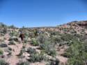 Horse Ride to Grand Canyon