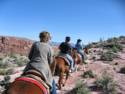 Horse Ride to Grand Canyon