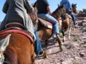 Horse Ride to Grand Canyon