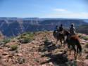 Horse Ride to Grand Canyon