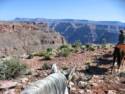 Horse Ride to Grand Canyon