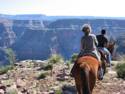 Horse Ride to Grand Canyon