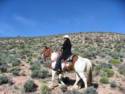 Horse Ride to Grand Canyon