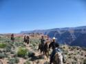 Horse Ride to Grand Canyon