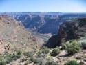 Horse Ride to Grand Canyon