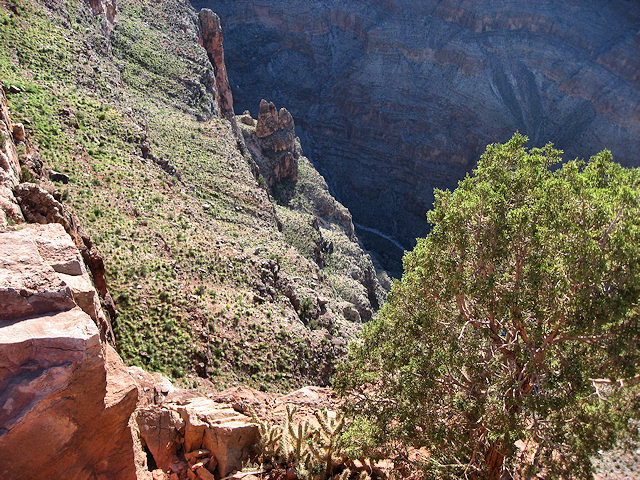 Guano Point at Grand Canyon West