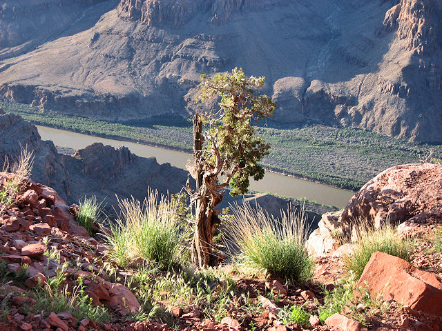 Guano Point at Grand Canyon West