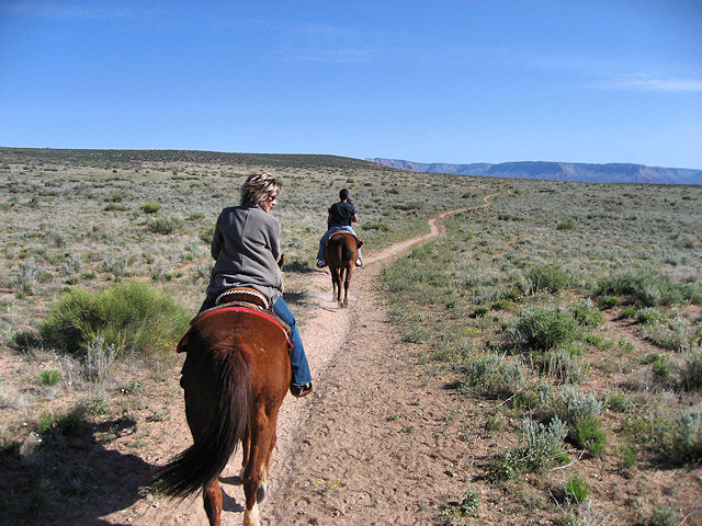 Horse Ride to Grand Canyon