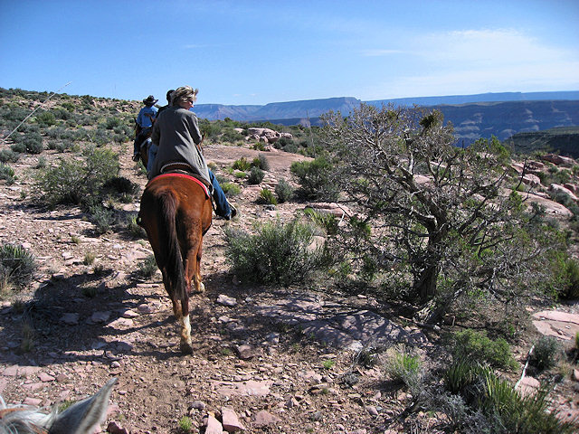 Horse Ride to Grand Canyon