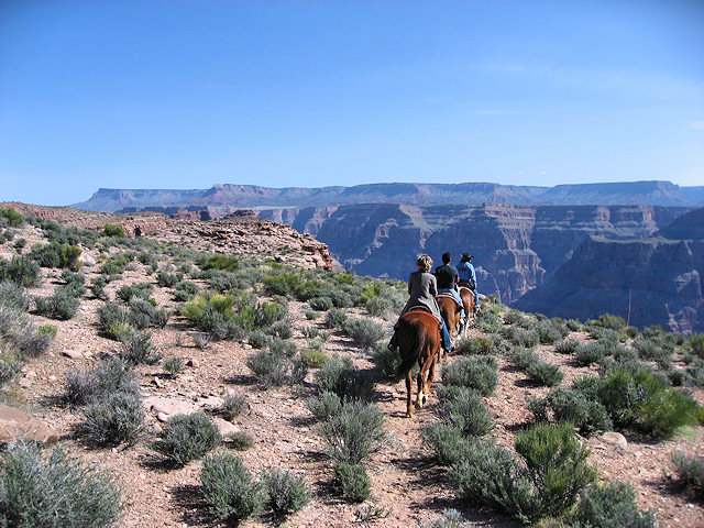Horse Ride to Grand Canyon