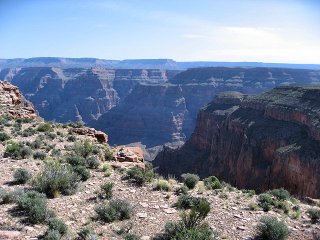 Horse Ride to Grand Canyon