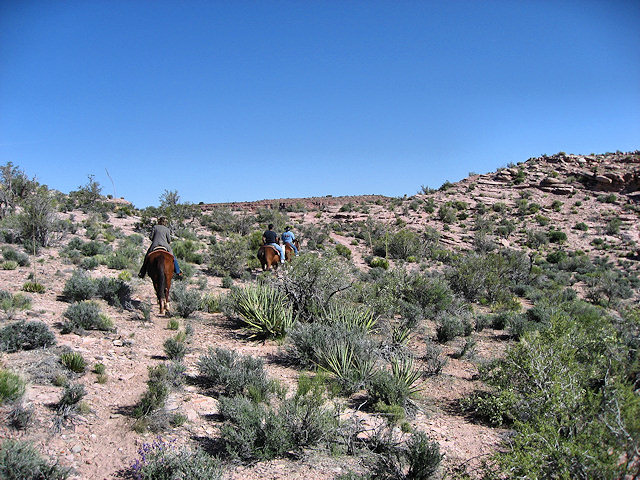Horse Ride to Grand Canyon