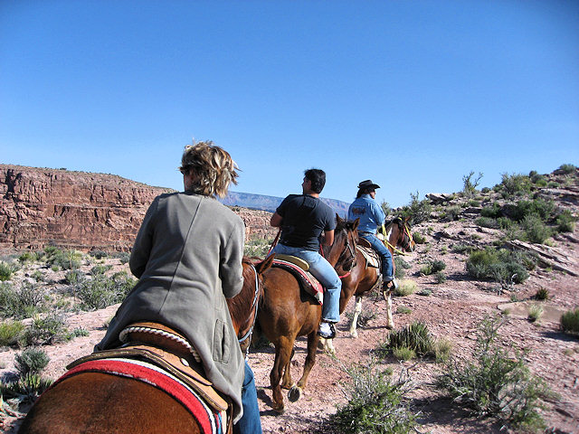 Horse Ride to Grand Canyon