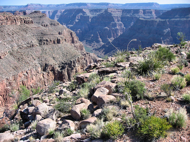 Horse Ride to Grand Canyon