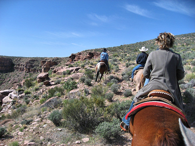 Horse Ride to Grand Canyon