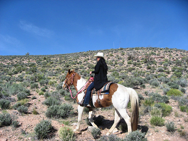 Horse Ride to Grand Canyon